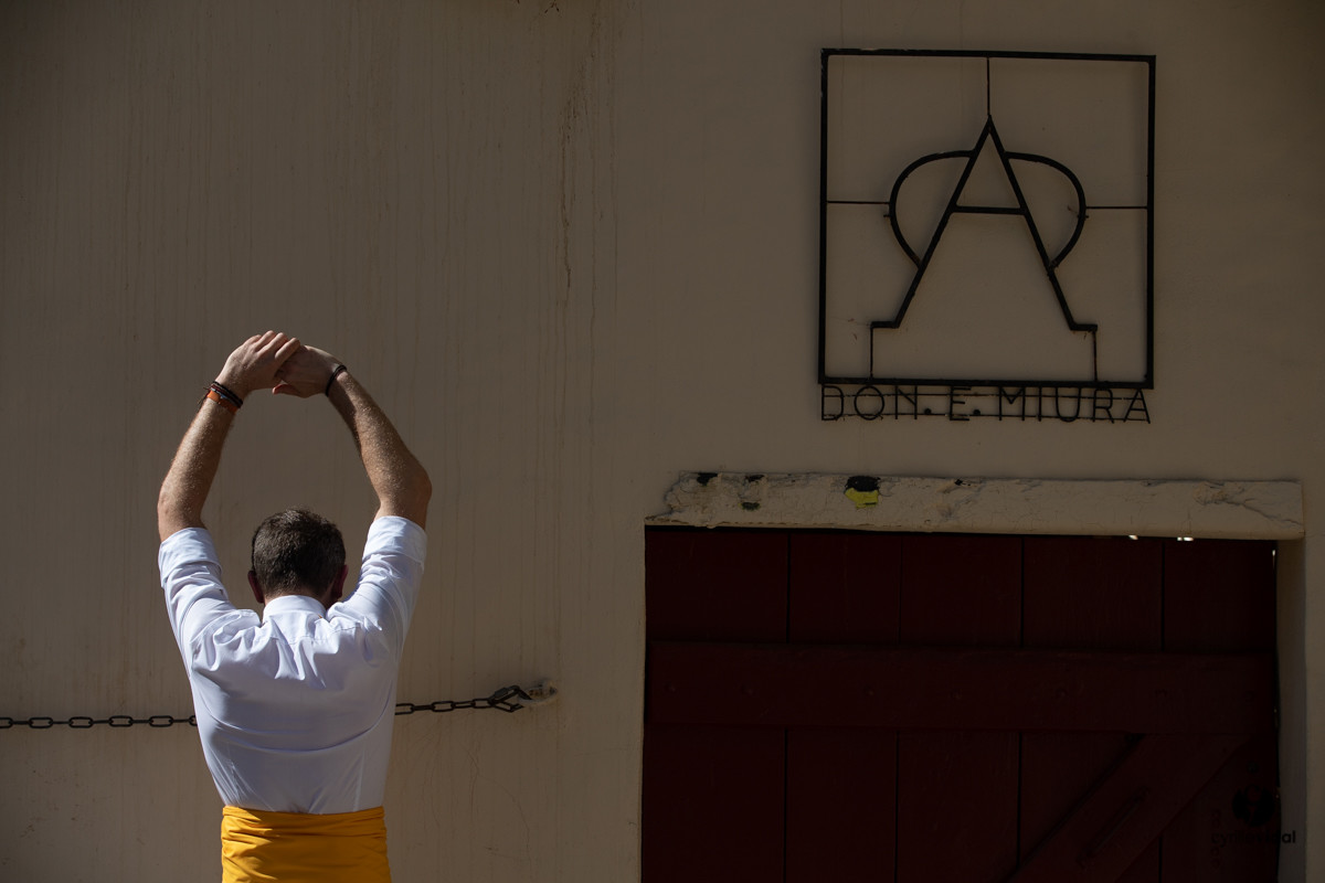 Mont-de-Marsan championnat de France de course landaise 2019