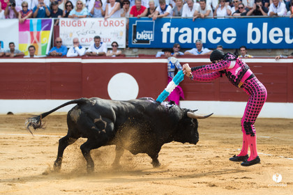 Mont-de-Marsan corrida de Jandilla pour Padilla - Talavante - Roca Rey