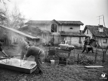 Jours de pelère