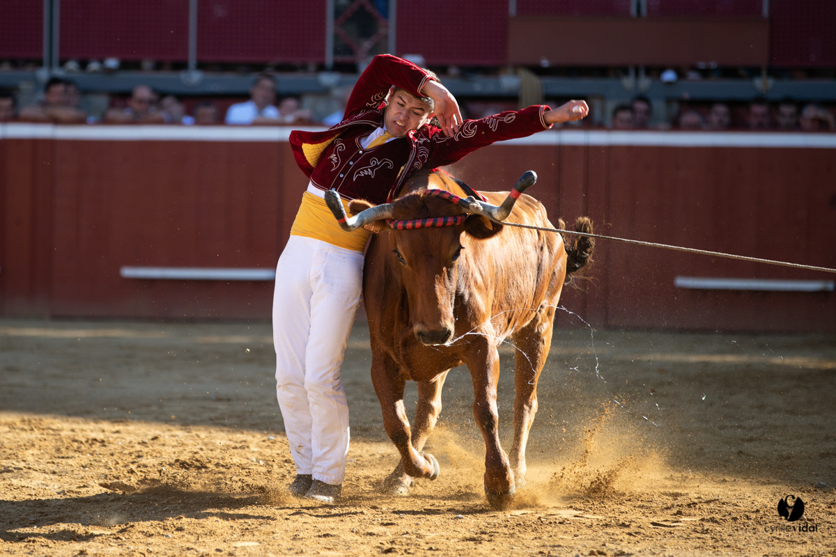 Mont-de-Marsan championnat de France de course landaise 2019