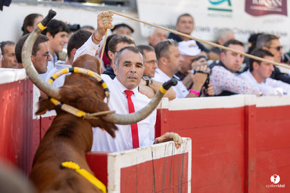 Nogaro Championnat de France de course landaise 2022