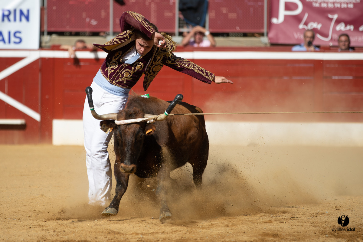 Mont-de-Marsan championnat de France de course landaise 2019