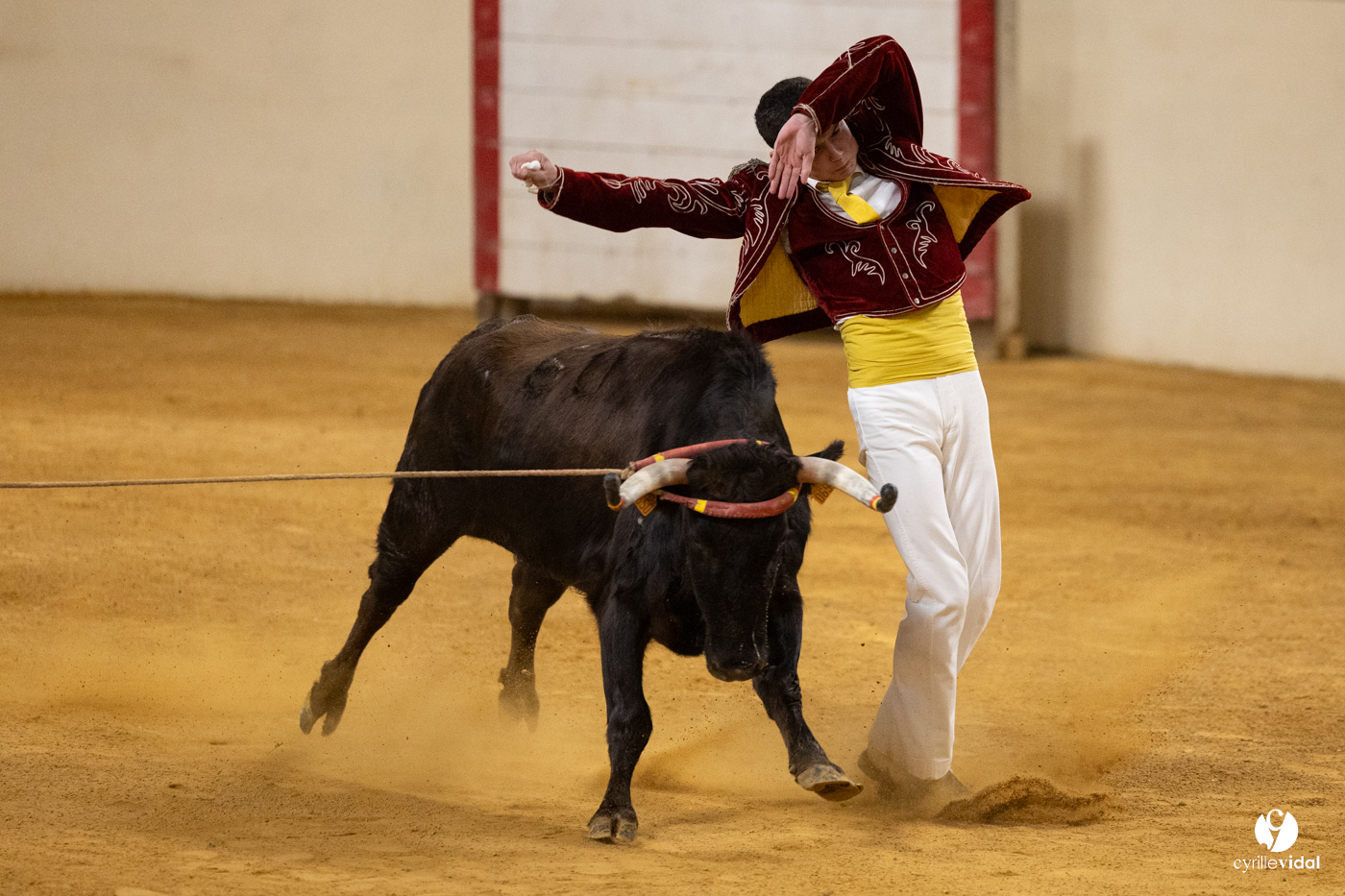 Horsarrieu course landaise du boléro d'Argent