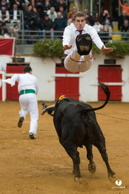 Nogaro Championnatde France de Course Landaise 2017