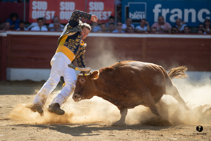 Mont-de-Marsan championnat de France de course landaise 2019