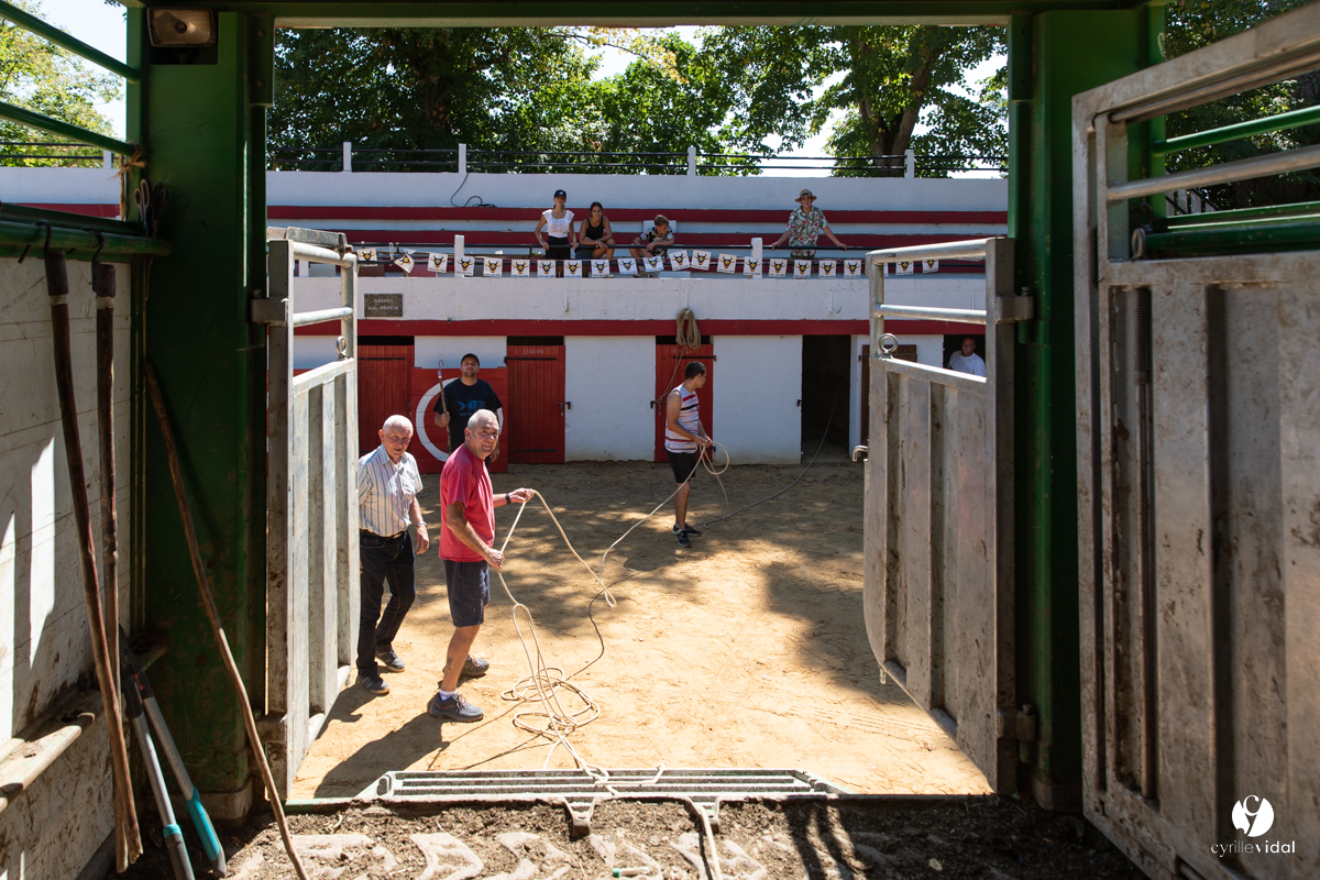 Course landaise à Panjas