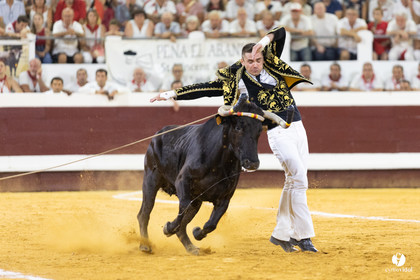 Dax concours landais 2022