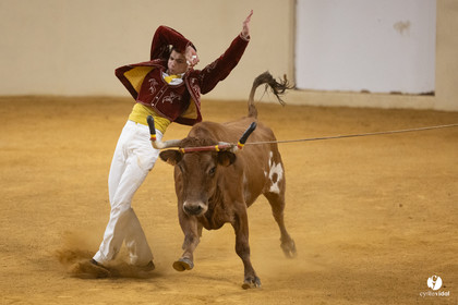 Horsarrieu course landaise du boléro d'Argent