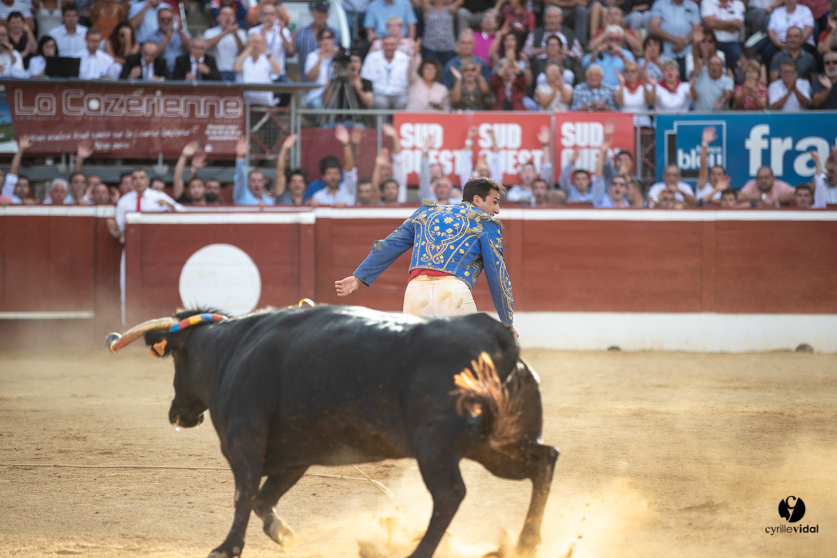 Mont-de-Marsan championnat de France de course landaise 2019