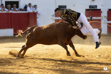 Nogaro Championnat de France de course landaise 2022