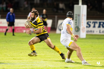 Stade Montois Rugby - Carcassonne