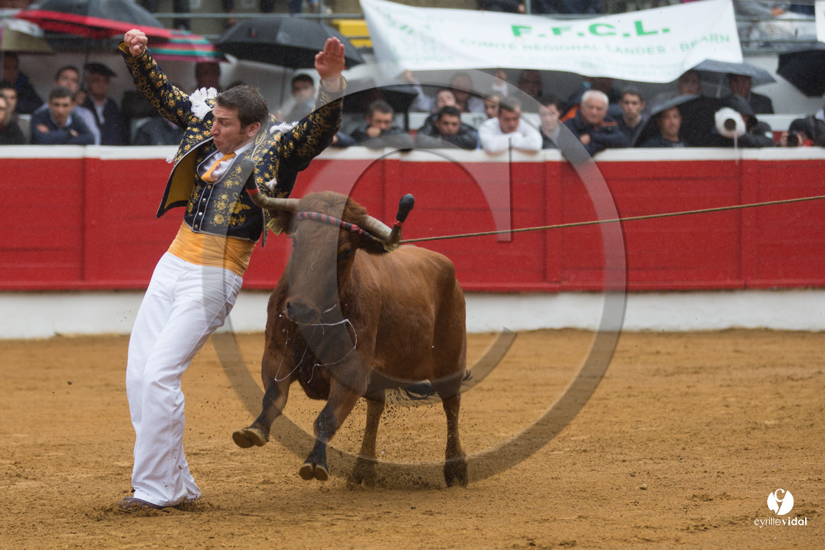 Nogaro Championnatde France de Course Landaise 2017