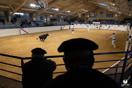 Horsarrieu course landaise du boléro d'Argent