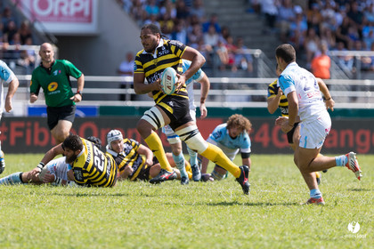 Bayonne - Stade Montois