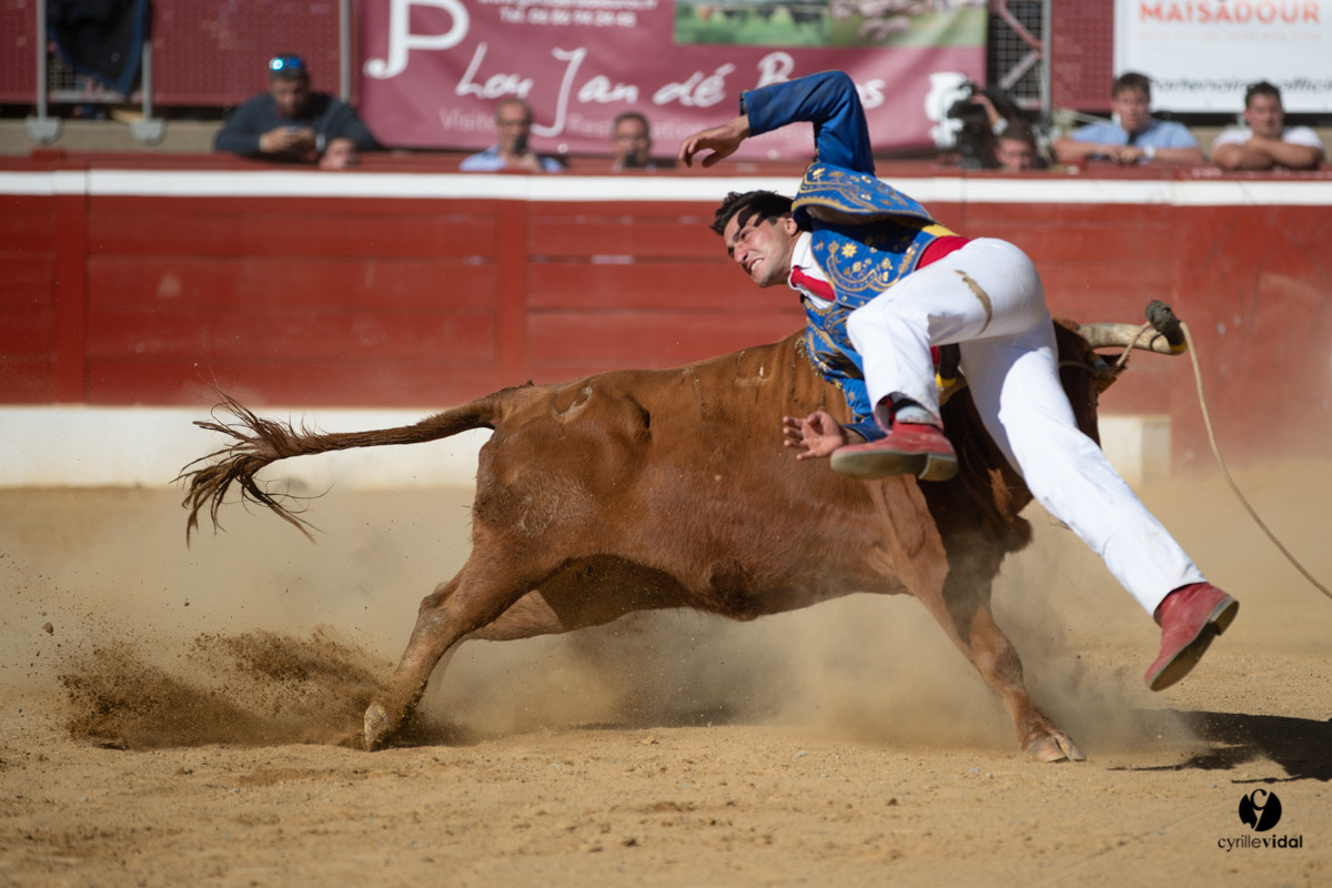 Mont-de-Marsan championnat de France de course landaise 2019