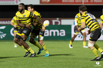 Stade Montois Rugby - Montauban