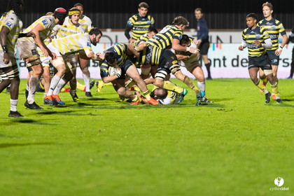 Stade Montois Rugby - Carcassonne