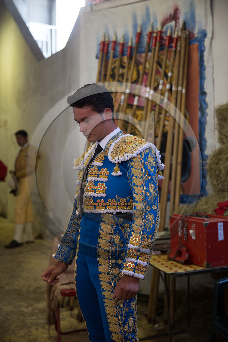 corrida, toro, vic fezensac, alcurrucen, michelito, morenito de aranda