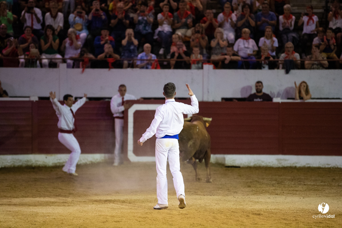 Landes émotions à Aire-sur-l'Adour