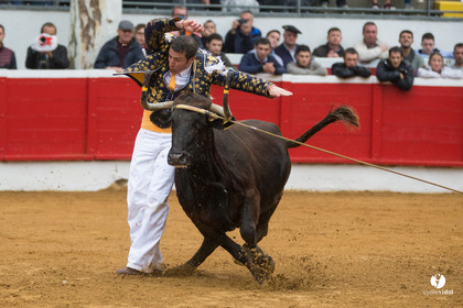 Nogaro Championnatde France de Course Landaise 2017