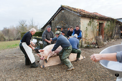 Jours de pelère