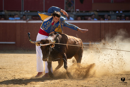 Mont-de-Marsan championnat de France de course landaise 2019