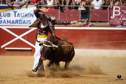 Mont-de-Marsan championnat de France de course landaise 2019