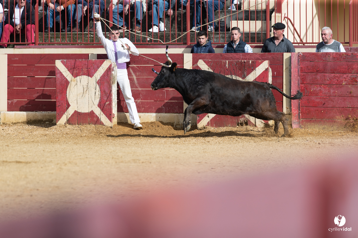 Course landaise Le Houga Ganadéria Dussau Cuadrilla Alexandre Brethes
