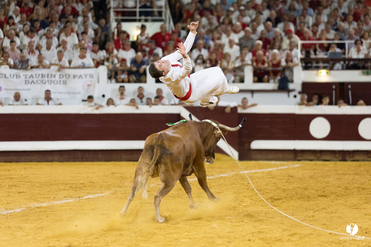 Dax concours landais 2022