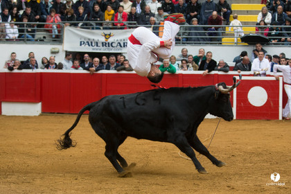 Nogaro Championnatde France de Course Landaise 2017
