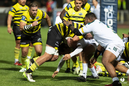 Stade Montois Rugby - Montauban