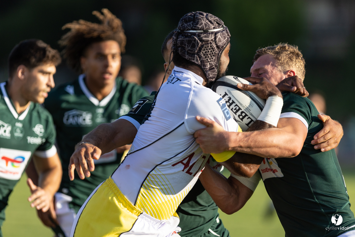Stade Montois Rugby - Section Paloise