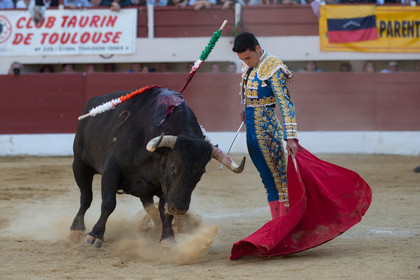 corrida, toro, vic fezensac, alcurrucen, michelito, morenito de aranda