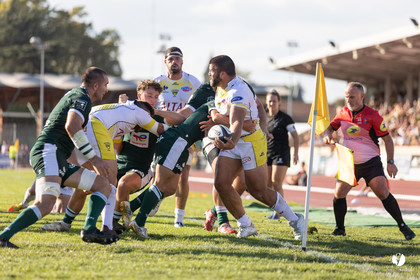 Stade Montois Rugby - Section Paloise