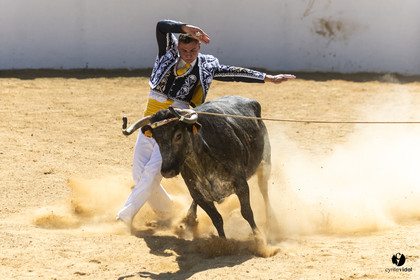 Saint-Cricq Chalosse course landaise de promotion Ganadéria Deyris Cuadrilla Jérémy Lafitte