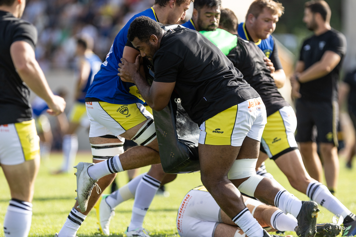 Stade Montois Rugby - Section Paloise