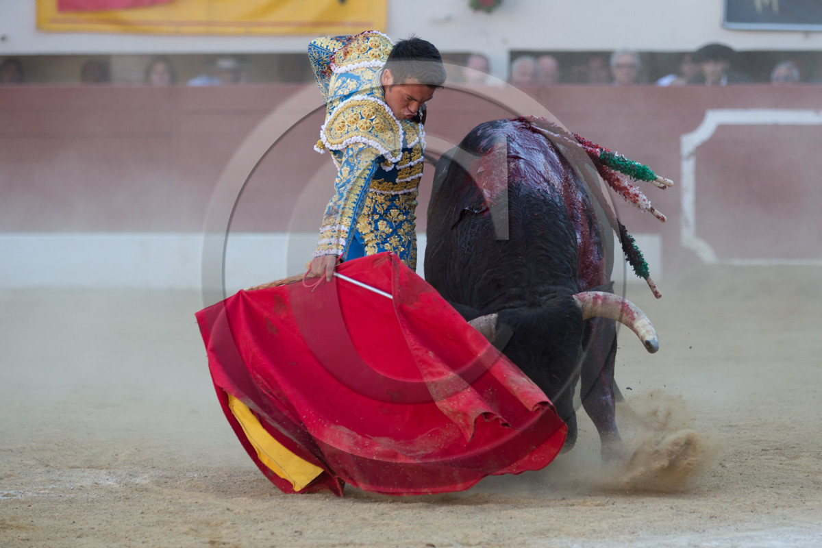 corrida, toro, vic fezensac, alcurrucen, michelito, morenito de aranda