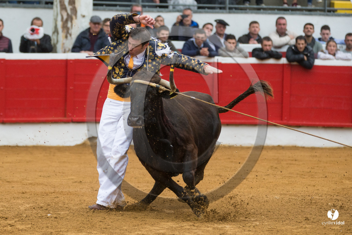 Nogaro Championnatde France de Course Landaise 2017