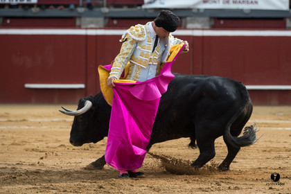 Mont-de-Marsan corrida de Garcigrande pour El Juli et Juan Bautista
